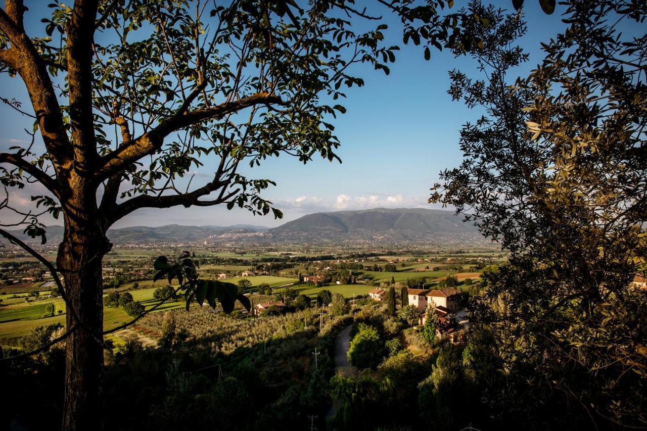 Il Poggio Degli Olivi Villa Bettona Eksteriør billede