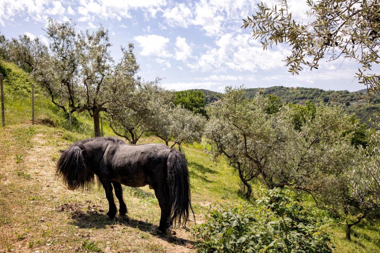Il Poggio Degli Olivi Villa Bettona Eksteriør billede